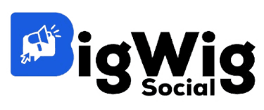 Bigwig Social Logo
